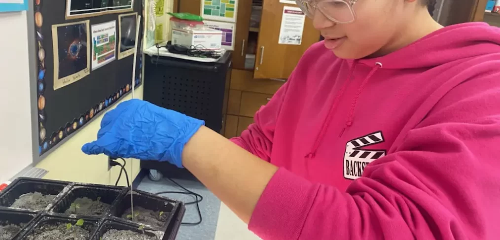 Student wearing glasses, pink sweatshirt, and blue plastic gloves, conducts experiments with plants in a classroom.