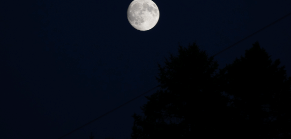 Waxing gibbous moon seen from outside Hirundo Wildlife Refuge on Thursday, Sept. 24, 2026, in Old Town, Maine. Hailey Green / Maine Campus