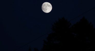 Waxing gibbous moon seen from outside Hirundo Wildlife Refuge on Thursday, Sept. 24, 2026, in Old Town, Maine. Hailey Green / Maine Campus